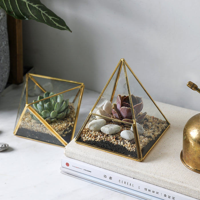Glass Geometric Terrarium Container