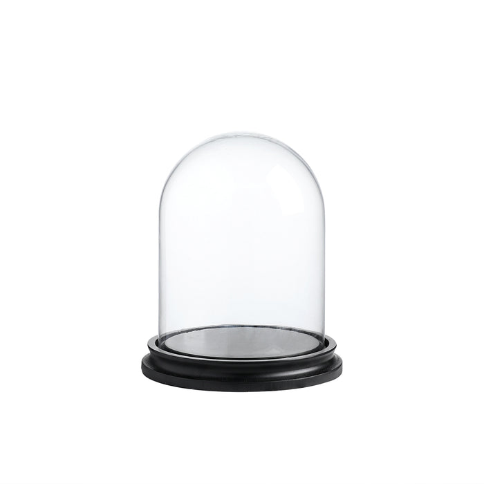 Decorative Glass Display Cloche Dome