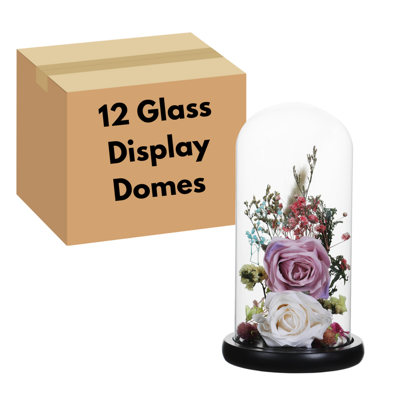 Glass Display Dome Cloche Decorative Clear Bell