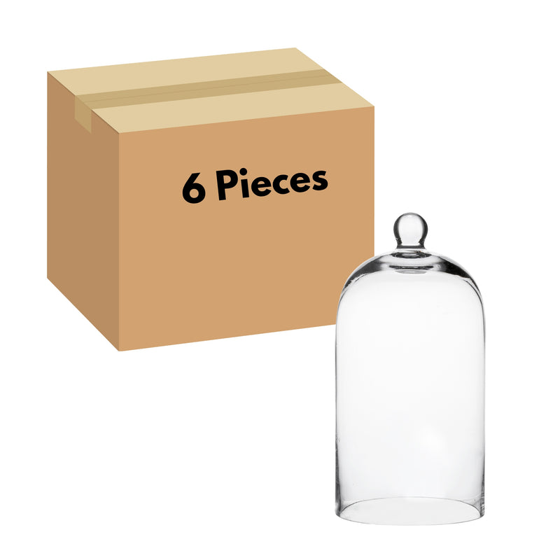 6.97" x 12" Decorative Glass Display