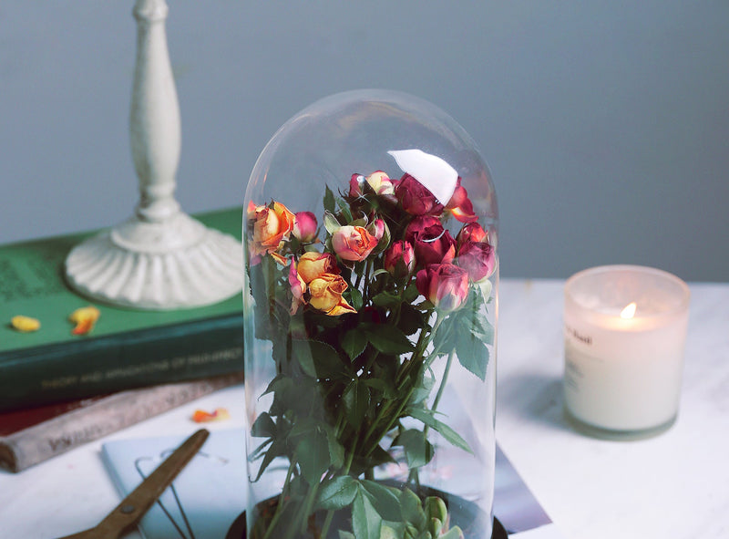 Glass Display Dome Cloche Decorative Clear Bell