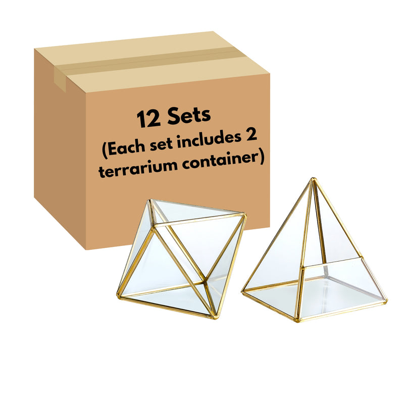 Glass Geometric Terrarium Container