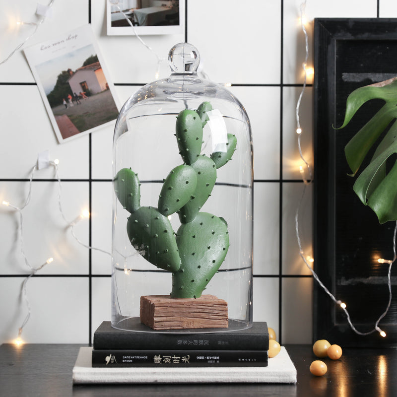 6.97" x 12" Decorative Glass Display