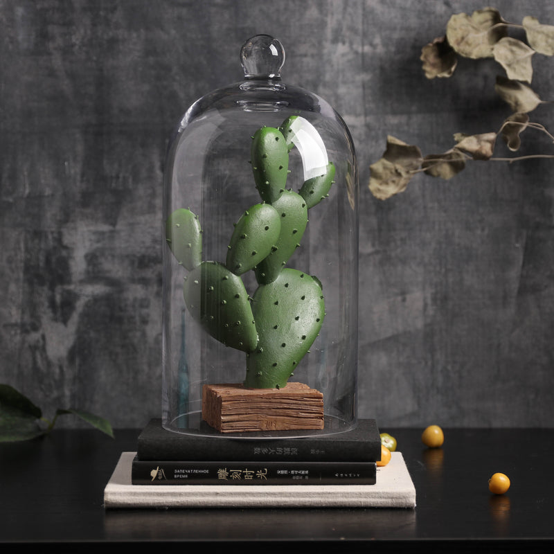 6.97" x 12" Decorative Glass Display