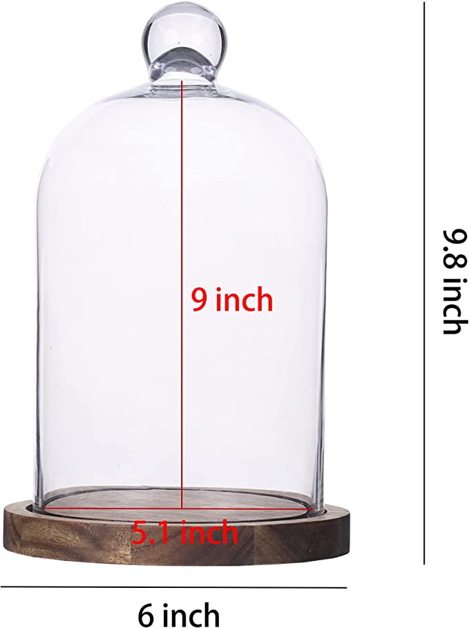 Clear Glass Cloche Dome Bell Jar with Wooden Base – 5.1″ Diameter × 9″ Tall Display Cover