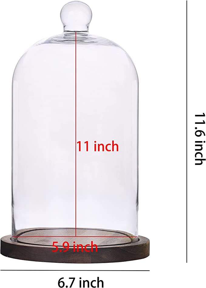 Clear Glass Cloche Dome Bell Jar