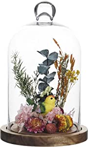 Clear Glass Cloche Dome Bell Jar with Wooden Base – 5.1″ Diameter × 9″ Tall Display Cover