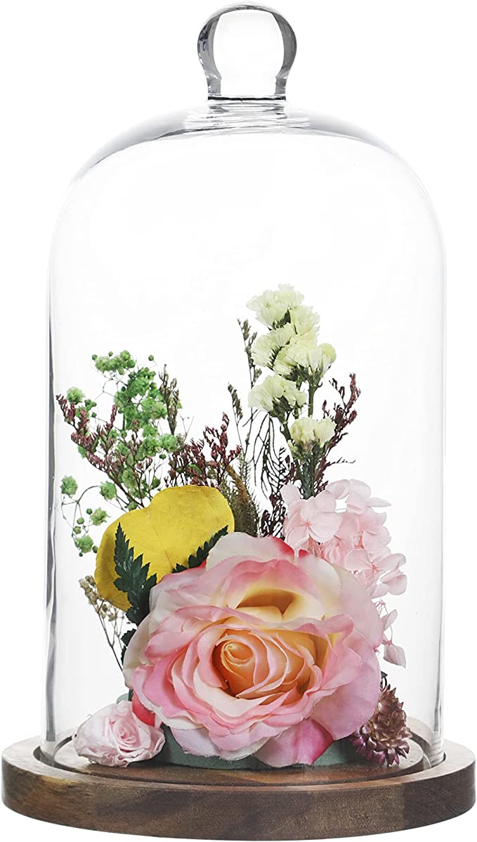 Clear Glass Cloche Dome Bell Jar