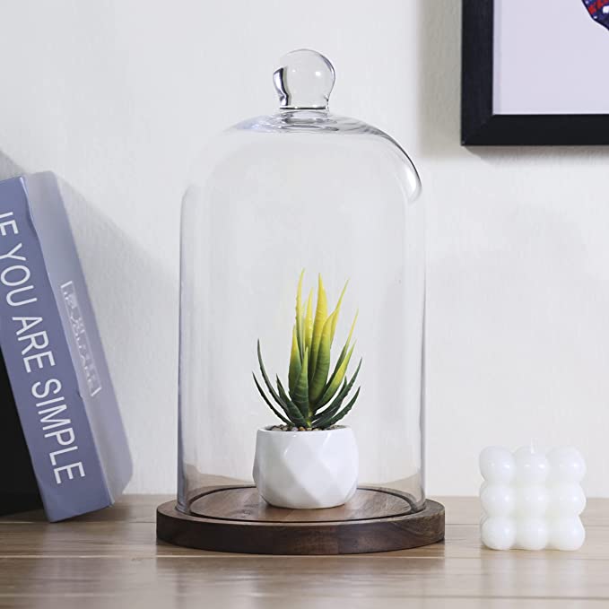 Clear Glass Cloche Dome Bell Jar