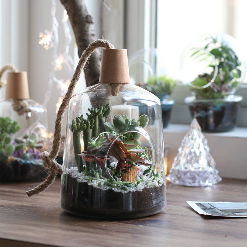 Set of 2 Glass Hanging Planter Containers