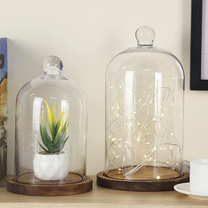 Clear Glass Cloche Dome Bell Jar with Wooden Base – 5.1″ Diameter × 9″ Tall Display Cover