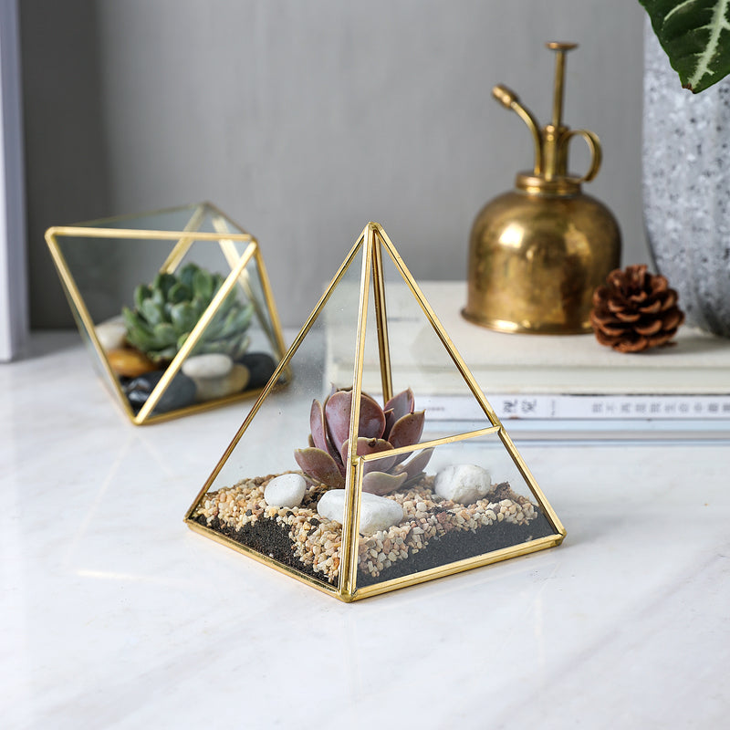Glass Geometric Terrarium Container