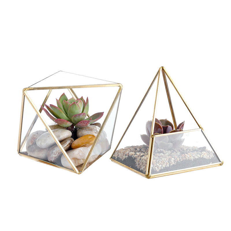 Glass Geometric Terrarium Container