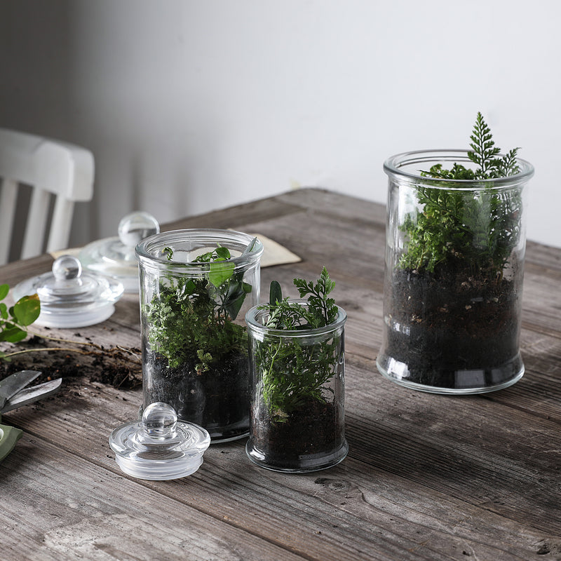 Mini Glass Apothecary Jars-Cotton Jar