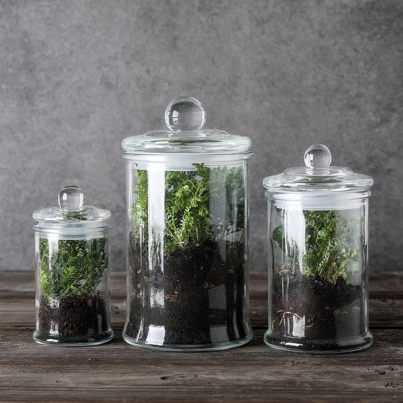 Mini Glass Apothecary Jars-Cotton Jar