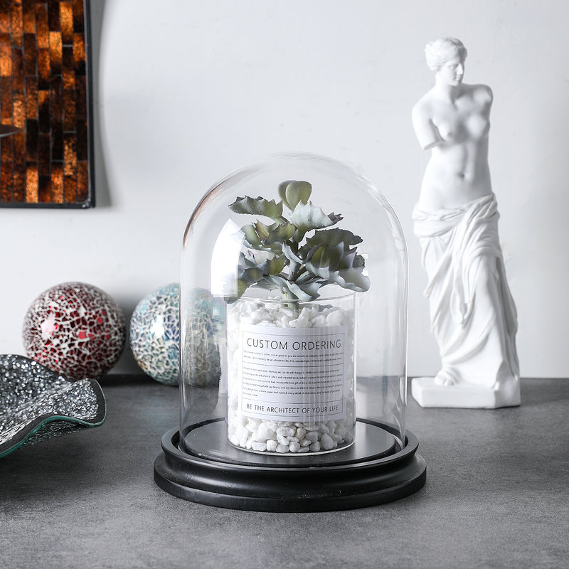 Decorative Glass Display Cloche Dome with Black Base – Clear Bell Jar for Home Decor, Plants & Collectibles