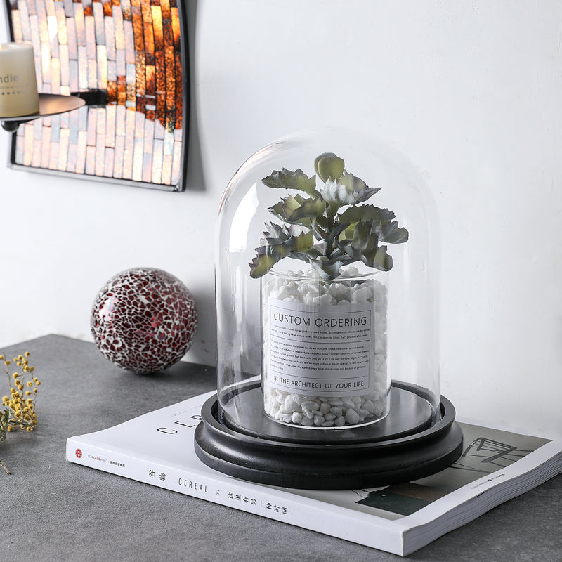 Decorative Glass Display Cloche Dome with Black Base – Clear Bell Jar for Home Decor, Plants & Collectibles