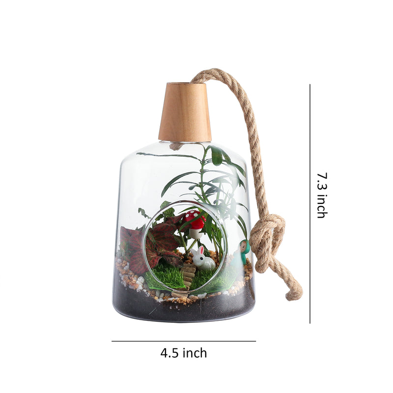 Set of 2 Glass Hanging Planter Containers